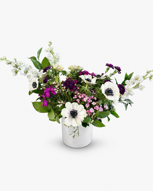 Anemone Meadow